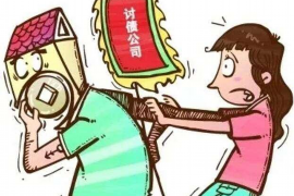 香洲企业清欠服务